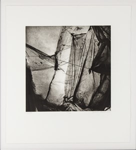 Image description is not available for 2016.002